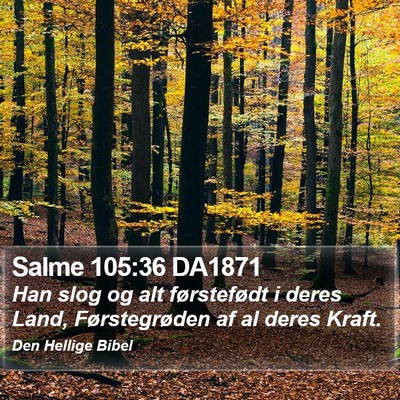Salme 105:36 DA1871 Bible Verse Image