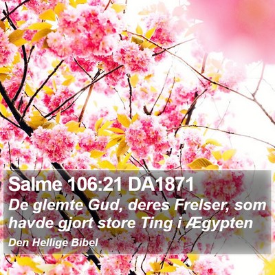 Salme 106:21 DA1871 Bible Verse Image