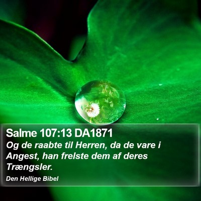 Salme 107:13 DA1871 Bible Verse Image