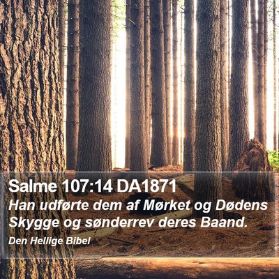 Salme 107:14 DA1871 Bible Verse Image