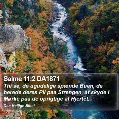 Salme 11:2 DA1871 Bible Verse Image