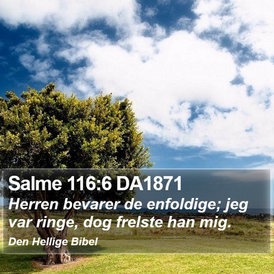 Salme 116:6 DA1871 Bible Verse Image