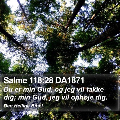 Salme 118:28 DA1871 Bible Verse Image