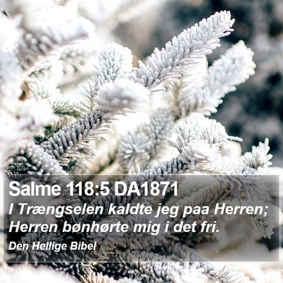 Salme 118:5 DA1871 Bible Verse Image