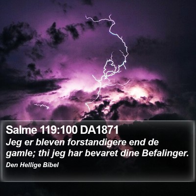 Salme 119:100 DA1871 Bible Verse Image