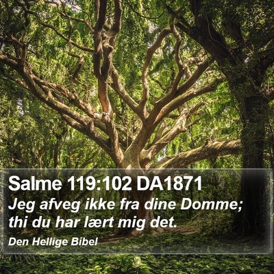Salme 119:102 DA1871 Bible Verse Image