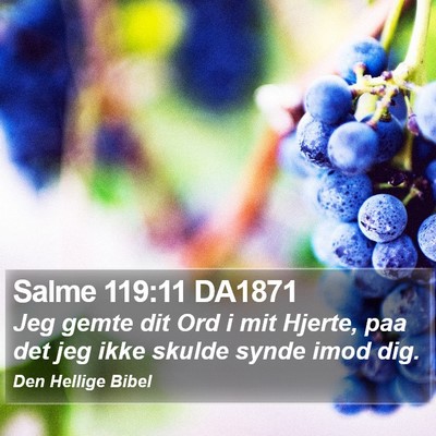 Salme 119:11 DA1871 Bible Verse Image
