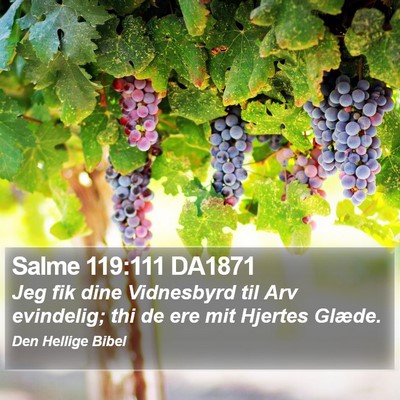 Salme 119:111 DA1871 Bible Verse Image
