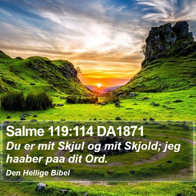 Salme 119:114 DA1871 Bible Verse Image