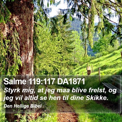 Salme 119:117 DA1871 Bible Verse Image
