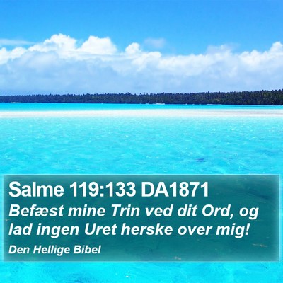 Salme 119:133 DA1871 Bible Verse Image