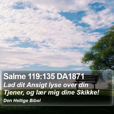 Salme 119:135 DA1871 Bible Verse Image