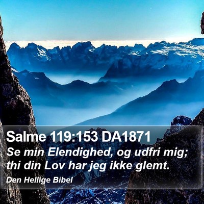 Salme 119:153 DA1871 Bible Verse Image