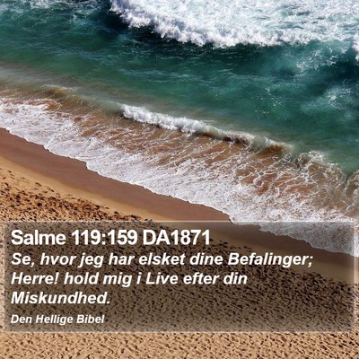 Salme 119:159 DA1871 Bible Verse Image