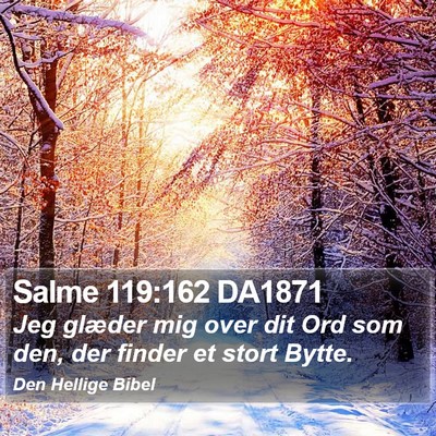 Salme 119:162 DA1871 Bible Verse Image