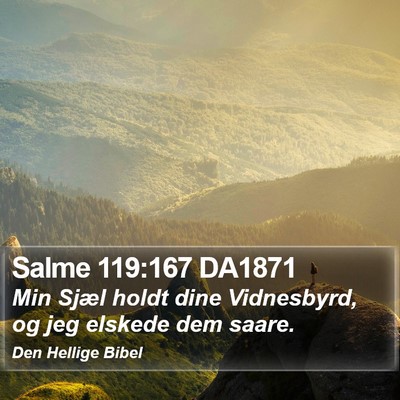 Salme 119:167 DA1871 Bible Verse Image