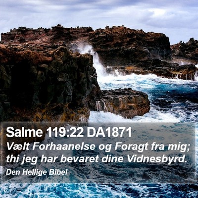 Salme 119:22 DA1871 Bible Verse Image