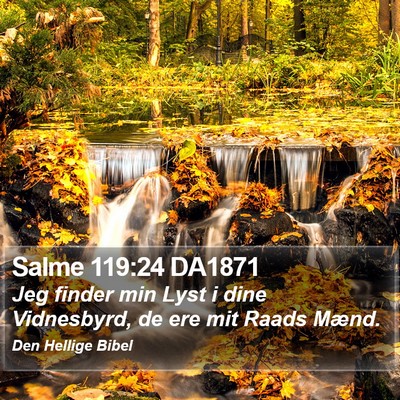 Salme 119:24 DA1871 Bible Verse Image