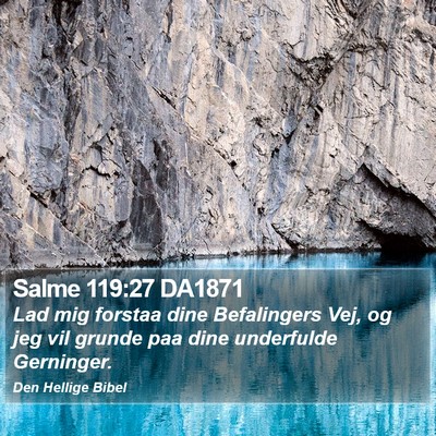 Salme 119:27 DA1871 Bible Verse Image
