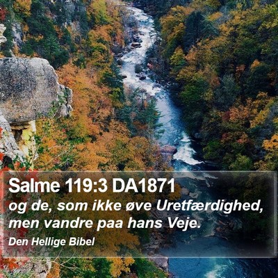 Salme 119:3 DA1871 Bible Verse Image