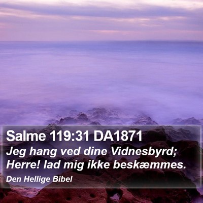 Salme 119:31 DA1871 Bible Verse Image
