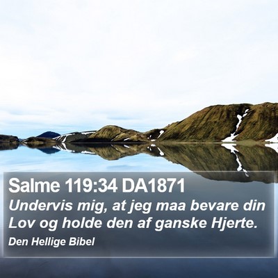 Salme 119:34 DA1871 Bible Verse Image