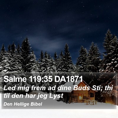 Salme 119:35 DA1871 Bible Verse Image