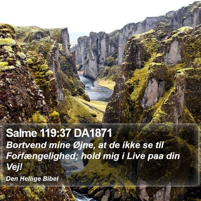 Salme 119:37 DA1871 Bible Verse Image