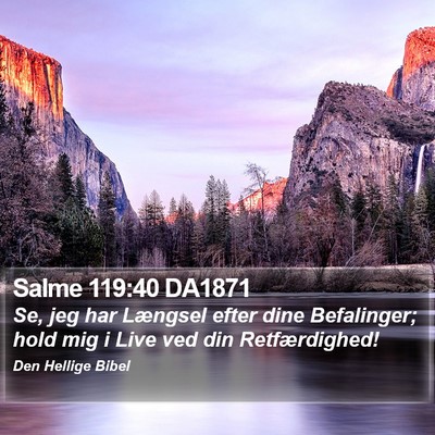 Salme 119:40 DA1871 Bible Verse Image