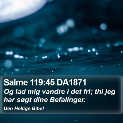 Salme 119:45 DA1871 Bible Verse Image
