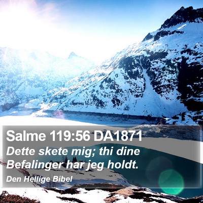 Salme 119:56 DA1871 Bible Verse Image