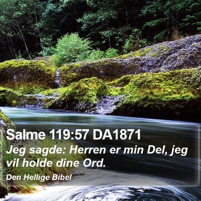Salme 119:57 DA1871 Bible Verse Image