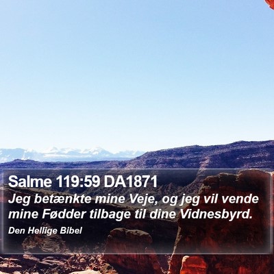Salme 119:59 DA1871 Bible Verse Image