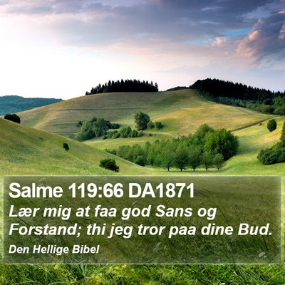 Salme 119:66 DA1871 Bible Verse Image