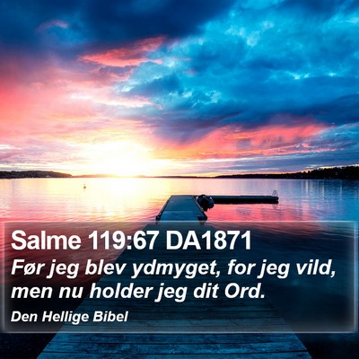 Salme 119:67 DA1871 Bible Verse Image