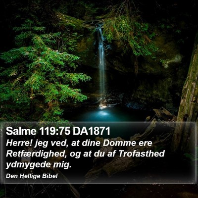 Salme 119:75 DA1871 Bible Verse Image