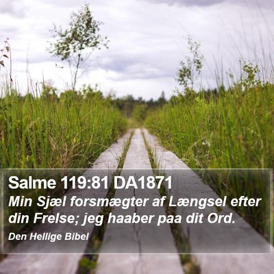 Salme 119:81 DA1871 Bible Verse Image