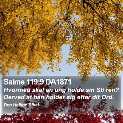 Salme 119:9 DA1871 Bible Verse Image