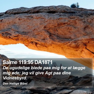 Salme 119:95 DA1871 Bible Verse Image