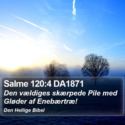 Salme 120:4 DA1871 Bible Verse Image