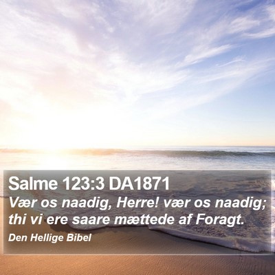Salme 123:3 DA1871 Bible Verse Image