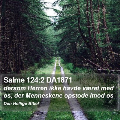 Salme 124:2 DA1871 Bible Verse Image
