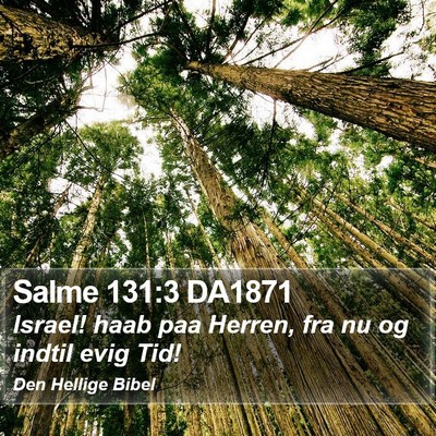 Salme 131:3 DA1871 Bible Verse Image