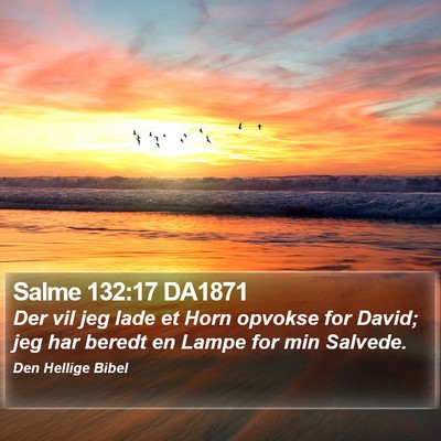 Salme 132:17 DA1871 Bible Verse Image