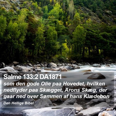 Salme 133:2 DA1871 Bible Verse Image