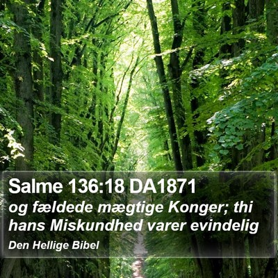 Salme 136:18 DA1871 Bible Verse Image