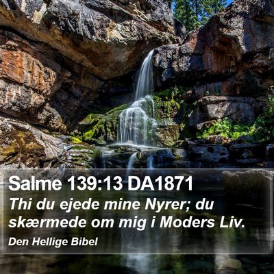 Salme 139:13 DA1871 Bible Verse Image