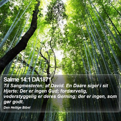 Salme 14:1 DA1871 Bible Verse Image