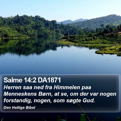 Salme 14:2 DA1871 Bible Verse Image
