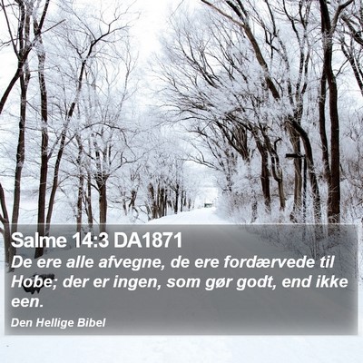 Salme 14:3 DA1871 Bible Verse Image